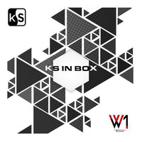 KS IN BOX - PARAD2X - WILD1RADIO #01 by PARAD2X
