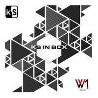 KS IN BOX - PARAD2X - WILD1RADIO #02 by PARAD2X
