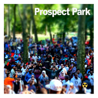 Straight to the Brain - Prospect Park by DJ Atom
