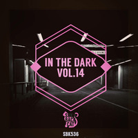 IN THE DARK VOL.14 - BRUNO KAUFFMANN &amp; TOMY VILLACORTA &quot;FFELINGS&quot; (TOMMY MARCUS CAN'T FAKE IT MIX) by bruno kauffmann