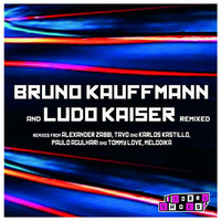 BRUNO KAUFFMANN &amp; LUDO KAISER - HOUSE HYPNOTIZE (ALEXANDER ZABBI REMIX) SORRY SHOES RECORDS by bruno kauffmann