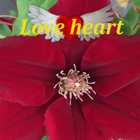 In love heart by Orangewindmill