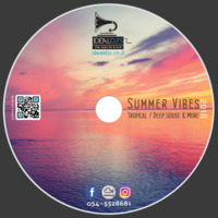 Ideal Djs - Summer Vibes 2016 - Deep House , Tropical &amp; More by Ideal Djs