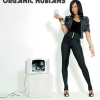 Nubian Soul - Organic Nubians Radio Show - Old Skool by Sonic Stream Archives
