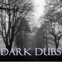 DARK DUB VOL  01 by  the Random noise segment