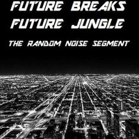 FUTURE BREAKS FUTURE JUNGLE by  the Random noise segment
