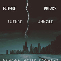 FUTURE BREAKS FUTURE JUNGLE  version 02 by  the Random noise segment