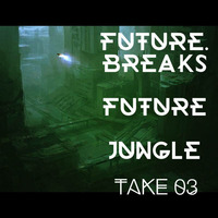 FUTURE BREAKS FUTURE JUNGLE 03 by  the Random noise segment