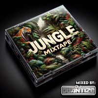 Jungle Mixtape Vol 9 by DJ Quantize