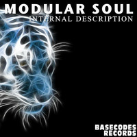Modular Soul - Internal Description by Basecodes