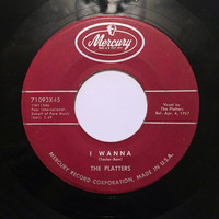 Platters - I Wanna (Cold Mono 45 - Clean) by Radionic Powers