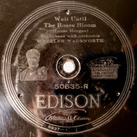 50635 R - Wheeler Wadsworth - Wait Until The Roses Bloom (1920 Edison 50635 R) by Radionic Powers