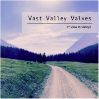 Saucy Spaces by Vast Valley Valves
