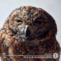 Paco / Risikogruppe - Fabelwesen Berlin #39 by Risikogruppe