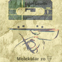 Deffekt Tapes Sahin Laselle Glitch Mix by Molekular 20 Records