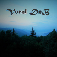 Vocal DnB