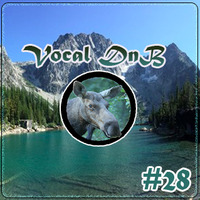 Vocal Drum and Bass #28 04-06-2020 Live on PureDanceLive.com by Mooseh