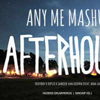 Afterhours Joy (Any Me Tamashup) - TroyBoi x Diplo x Sander Van Doorn (feat. Nina Sky) by Any Me