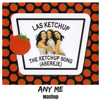 The Ketchup Song (Any Me Mashup) - Las Ketchup x USAI by Any Me