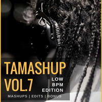 Tamashup Vol. 7 [Low BPM Edition] 6 Commercial Mashups by Any Me