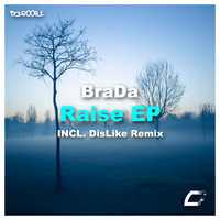 Raise Original Mix Preview by BraDa NL