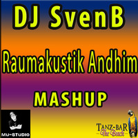DJ SvenB - Raumakustik Andhim Mashup by DJ SvenB
