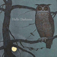 Hello Darkness by Musikkurier