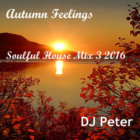 DJ Peter - Autumn Feelings - Soulful House Mix 3 2016 by Peter Lindqvist