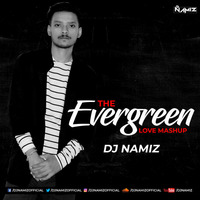 THE EVERGREEN LOVE MASHUP (DJ NAMIZ) by Dj Namiz