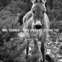 Podcast - Mr. Turner - FM4 Swound Sound #1191 - Slow House - Free DL As Usual by Petko Turner