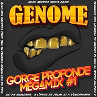 Genome MZT - Gorge profonde mégamix #1 by Genome