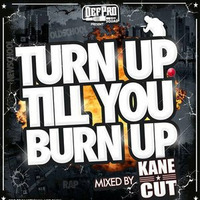 Mixtape- Turn up till You Burn up by Kane