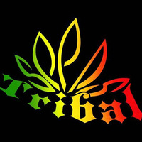 Reggae/Tribal Mix by Dj Jon Lowe