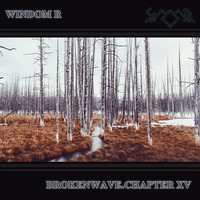 Windom R - BrokenWave.Chapter XV.mp3 by Windom R