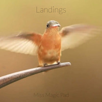 Landings - Miss Magic Pad by Dhin / Magic Pad Corporation