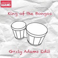 King of the Bongo (Grzly Adams Edit) - Manu Chao by Grzly Adams