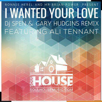 I Wanted Your Love (Soulful House Mix) by Daniel Torres aka DJ Big D