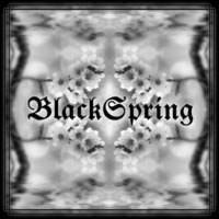 BlackSpring by JAN STUEBING