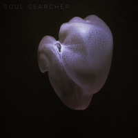 Soul Searcher by Brad Majors