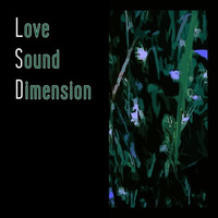 Love Sound Dimension by Brad Majors