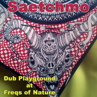 Dub Playground - Freqs Of Nature 2016 by Saetchmo