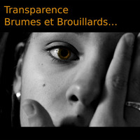 Transparence, Brumes et Brouillards… - 2017