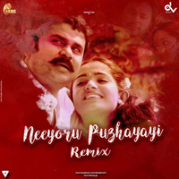 Neeyoru Puzhayayi Remix_(DJ Vaishnav) by Daiko official