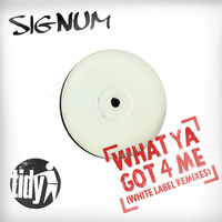 Signum - What Ya Got 4 Me (Norris Remix) **FREE DOWNLOAD!!** by Norris