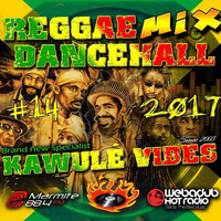  #14 2017 Reggae Dancehall Kawulé Vibes Radio Show by Kawulé Vibes