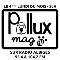 Pollux Mag FM - Novembre 2021 by Radio Albigés