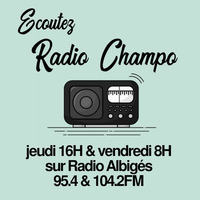 Radio Champo : Atelier de Pratique Culturelle et Artistique by Radio Albigés