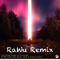Wish You the Best (RaWu Remix) by RaWu