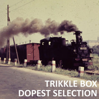 Trikkle Box - Dopest Selection 1 by Trikkle Box (DJ-Sets)