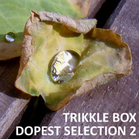 Trikkle Box - Dopest Selection 2 by Trikkle Box (DJ-Sets)